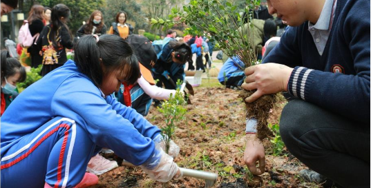 給未來栽春芽，為城市種春風(fēng)